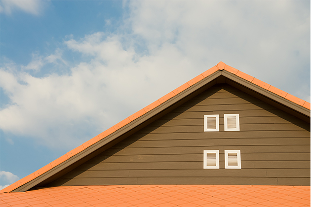 ProPERLA Roof Coating